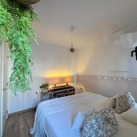Paraiso Appartement Callao Salvaje